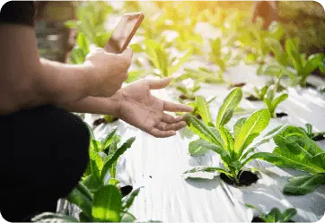 Crop records in Famrut